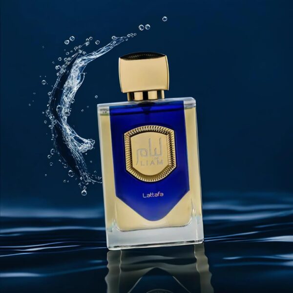 LIAM BLUE SHINE – Image 2